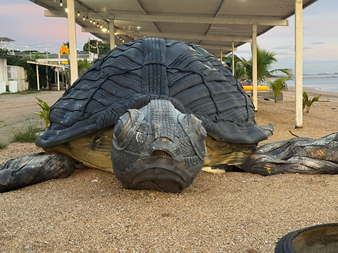 Tropická zahrada s palmami