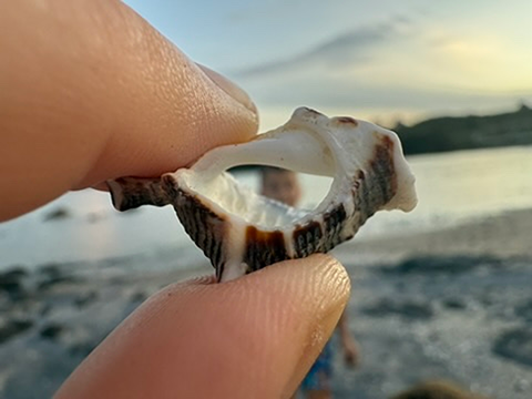 Společenský prostor pro hosty